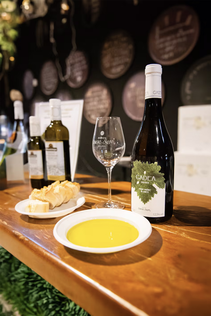 Marbella Olive Oil and Wine Tour Marbella Olive Oil and Wine Tour